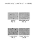 Surface Finishing Process for Indirect or Offset Printing Components diagram and image