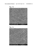 SCAFFOLD diagram and image