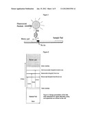 LATERAL FLOW STRIP AND USES THEREOF diagram and image