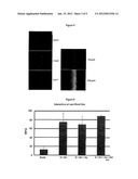 LATERAL FLOW STRIP AND USES THEREOF diagram and image