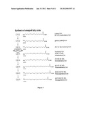 PREDICTION OF LIPID-METABOTYPE-RELATED PHYSIOLOGICAL SUSCEPTIBILITIES diagram and image