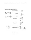 PREDICTION OF LIPID-METABOTYPE-RELATED PHYSIOLOGICAL SUSCEPTIBILITIES diagram and image