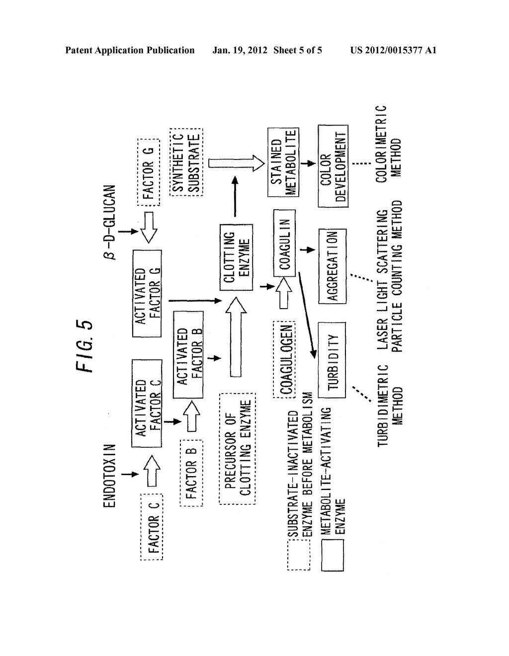METHOD AND APPARATUS FOR MEASURING BIOGENOUS BIOLOGICALLY ACTIVE SUBSTANCE - diagram, schematic, and image 06