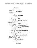 METHODS OF INCREASING DIHYDROXY ACID DEHYDRATASE ACTIVITY TO IMPROVE     PRODUCTION OF FUELS, CHEMICALS, AND AMINO ACIDS diagram and image