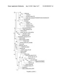 METHODS OF INCREASING DIHYDROXY ACID DEHYDRATASE ACTIVITY TO IMPROVE     PRODUCTION OF FUELS, CHEMICALS, AND AMINO ACIDS diagram and image