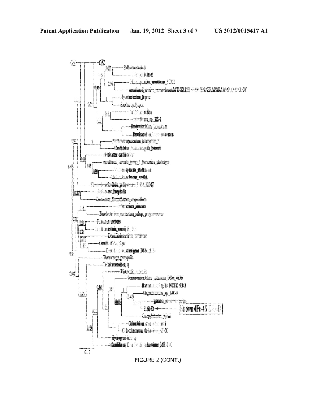 METHODS OF INCREASING DIHYDROXY ACID DEHYDRATASE ACTIVITY TO IMPROVE     PRODUCTION OF FUELS, CHEMICALS, AND AMINO ACIDS - diagram, schematic, and image 04