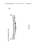 METHOD FOR DELIVERING NUCLEIC ACID INTO EUKARYOTIC GENOMES diagram and image