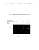 METHOD FOR DELIVERING NUCLEIC ACID INTO EUKARYOTIC GENOMES diagram and image