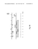 METHOD FOR DELIVERING NUCLEIC ACID INTO EUKARYOTIC GENOMES diagram and image