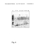 METHOD FOR DELIVERING NUCLEIC ACID INTO EUKARYOTIC GENOMES diagram and image