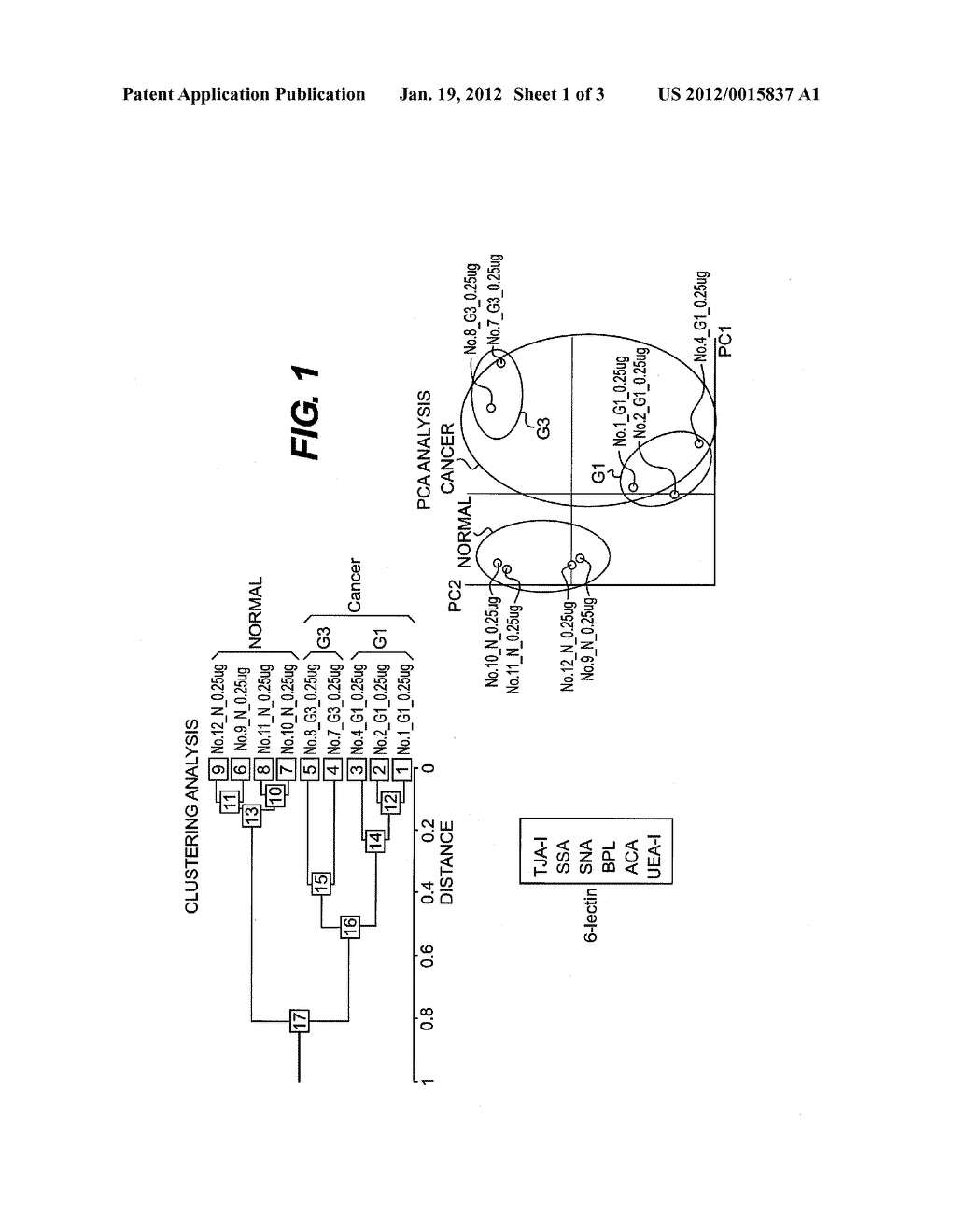 METHOD FOR DIAGNOSING ENDOMETRIAL CANCER - diagram, schematic, and image 02