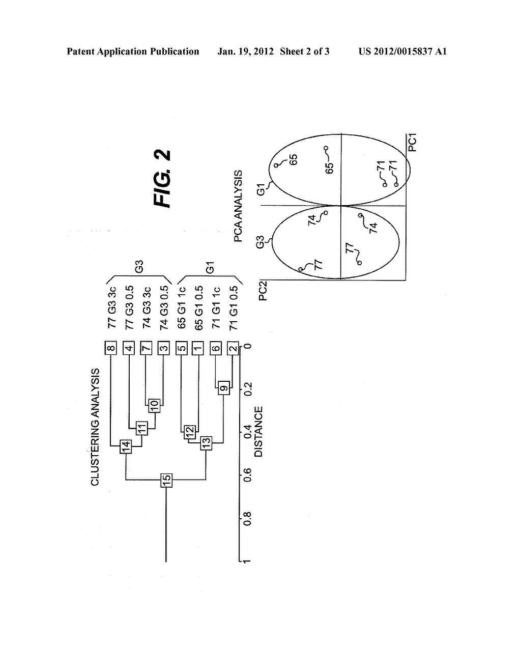 METHOD FOR DIAGNOSING ENDOMETRIAL CANCER - diagram, schematic, and image 03