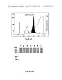 Use of Soluble Forms of CD83 and Nucleic Acids Encoding them for the     Treatment or Prevention of Diseases diagram and image