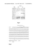 Use of Soluble Forms of CD83 and Nucleic Acids Encoding them for the     Treatment or Prevention of Diseases diagram and image