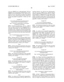 Amido Compounds And Their Use As Pharmaceuticals diagram and image