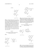 Kinase Inhibitors And Their Uses diagram and image