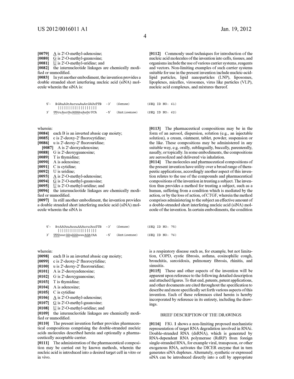 RNA Interference Mediated Inhibition of Connective Tissue Growth Factor     (CTGF) Gene Expression Using Short Interfering Nucleic Acid (siNA) - diagram, schematic, and image 22