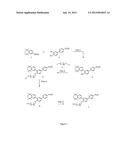 BIPHENYL COMPOUND SELECTIVE AGONISTS OF GAMMA RAR RECEPTORS diagram and image