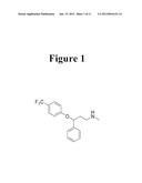 SEROTONIN REUPTAKE INHIBITORS diagram and image