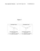 SEROTONIN REUPTAKE INHIBITORS diagram and image