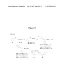 SEROTONIN REUPTAKE INHIBITORS diagram and image