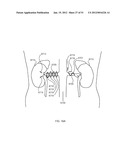 ENERGETIC MODULATION OF NERVES diagram and image