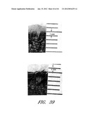 SYSTEMS FOR COSMETIC TREATMENT diagram and image