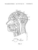 COGNITIVE FUNCTION WITHIN A HUMAN BRAIN diagram and image