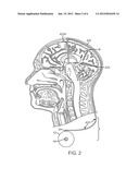 COGNITIVE FUNCTION WITHIN A HUMAN BRAIN diagram and image