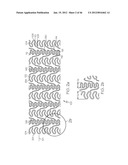 Stent diagram and image