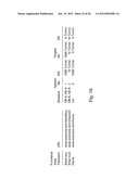 Synthetic Transactions To Test Blindness In A Network System diagram and image