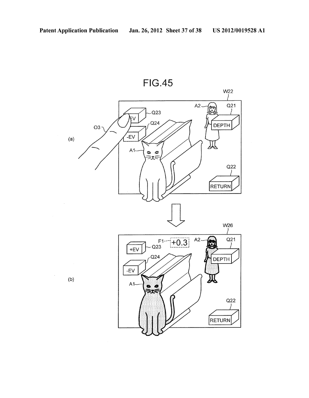 DISPLAY APPARATUS, DISPLAY METHOD, AND COMPUTER-READABLE RECORDING MEDIUM - diagram, schematic, and image 38