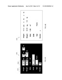 Systems and Methods for Automated Extraction of Measurement Information in     Medical Videos diagram and image