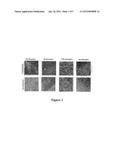 NON-AQUEOUS DENTIFRICE COMPOSITION WITH BIOACCEPTABLE AND BIOACTIVE GLASS     AND METHODS OF USE AND MANUFACTURE THEREOF diagram and image