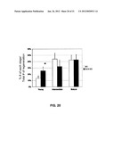 METHODS FOR PANCREATIC TISSUE REGENERATION diagram and image