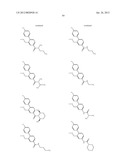 5-5-MEMBERED FUSED HETEROCYCLIC COMPOUND AND USE THEREOF AS HCV POLYMERASE     INHIBITOR diagram and image