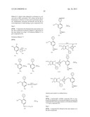 5-5-MEMBERED FUSED HETEROCYCLIC COMPOUND AND USE THEREOF AS HCV POLYMERASE     INHIBITOR diagram and image