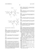 5-5-MEMBERED FUSED HETEROCYCLIC COMPOUND AND USE THEREOF AS HCV POLYMERASE     INHIBITOR diagram and image