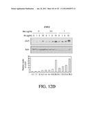 ANTIGEN BINDING PROTEINS TO PROPROTEIN CONVERTASE SUBTILISIN KEXIN TYPE 9     (PCSK9) diagram and image