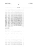 MULTI PLASMID SYSTEM FOR THE PRODUCTION OF INFLUENZA VIRUS diagram and image