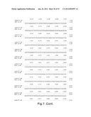 MULTI PLASMID SYSTEM FOR THE PRODUCTION OF INFLUENZA VIRUS diagram and image