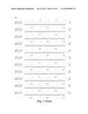 MULTI PLASMID SYSTEM FOR THE PRODUCTION OF INFLUENZA VIRUS diagram and image