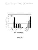 MULTI PLASMID SYSTEM FOR THE PRODUCTION OF INFLUENZA VIRUS diagram and image