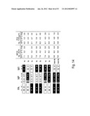 MULTI PLASMID SYSTEM FOR THE PRODUCTION OF INFLUENZA VIRUS diagram and image