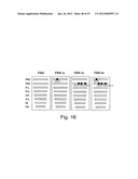 MULTI PLASMID SYSTEM FOR THE PRODUCTION OF INFLUENZA VIRUS diagram and image