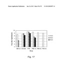 MULTI PLASMID SYSTEM FOR THE PRODUCTION OF INFLUENZA VIRUS diagram and image