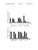 ANTI-INFLAMMATORY PHARMACEUTICAL COMPOSITION COMPRISING EXTRACTS FROM     BROUSSONETIA PAPYRIFERA AND LONICERA JAPONICA diagram and image