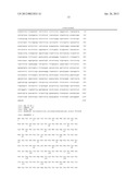 DISPERSIN B POLYNUCLEOTIDES AND METHODS OF PRODUCING RECOMBINANT DspB     POLYPEPTIDES diagram and image