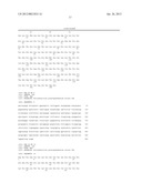 DISPERSIN B POLYNUCLEOTIDES AND METHODS OF PRODUCING RECOMBINANT DspB     POLYPEPTIDES diagram and image