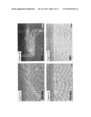 STRUCTURED SILVER-MESOPOROUS SILICA NANOPARTICLES HAVING ANTIMICROBIAL     ACTIVITY diagram and image